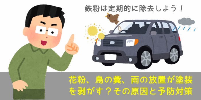 花粉、鳥の糞、雨の放置が塗装を剥がす？その原因と予防対策